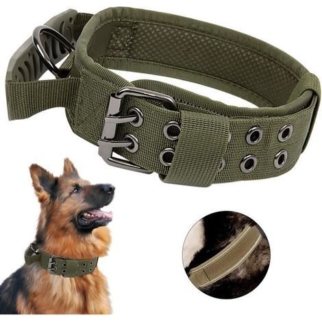 (Grünes) Hundehalsband – Größe M – Gepolstertes Nylon – Metallschnalle – Reflektierendes Grün (1/4)