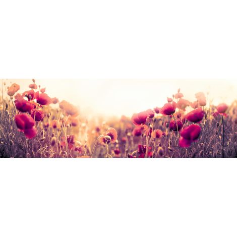 Tableau sur toile champ coquelicot 30x97 cm - Impression sur Toile Murale Décorative - Image imprimée en HD sur Toile - Toile sur Châssis en Bois FSC - Fabriqué en France