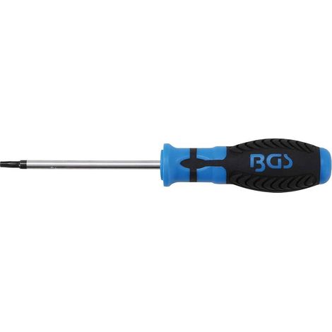 Tournevis Profil T Torx T25 - Lame 100 mm - Acier, Précision et Durabilité - Zones Difficiles - D-Work (1/5)