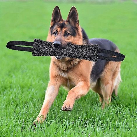 Palo de tela resistente a desgarros para perros, juguete de entrenamiento para juegos interactivos en interiores y exteriores. (1/5)