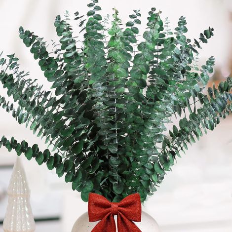 20 Pièces Eucalyptus Seches,Naturel Fleurs Séchées Tiges D'Eucalyptus Véritable et Conservées de 43cm,Tige D'Eucalyptus Véritable,pour Le Mariage Parfait,Decoration D'intérieur (1/5)