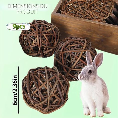 Dwarf Rabbit Chew Toys for Small Animals, Hamster, Guinea Pig, Chinchilla and Rat - Teeth Care Accessories Animaux Jouet Lapin Accessoires Jouets de Hamster Jouets de Cochon d'Inde pour le Soin Des D (1/4)