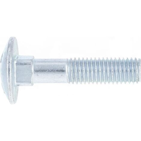Vite a testa tonda con quadro sottotesta zincata M12x55 8.8 UNIVERSALE 603125588 (1/3)