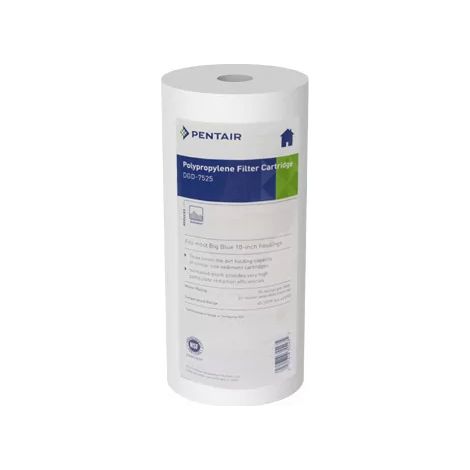 Filtre Pentair DGD-7525 Anti Sédiment