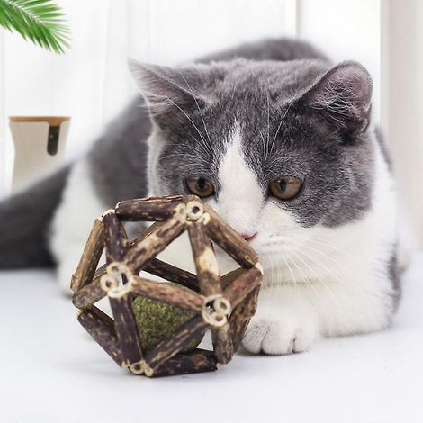 Katzenminze-Stick, Katzenminze-Spielzeug (1 Stück), natürliche Katzenminze, Reinigungs- und Haustierbedarf (1/5)