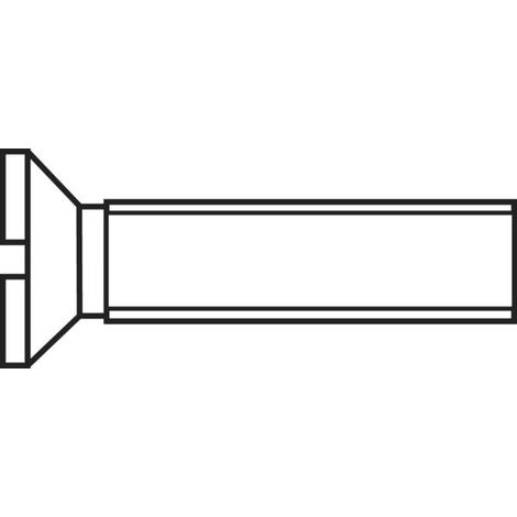 TOOLCRAFT M212 D963-4.8:A2K 194831 - VITI A TESTA SVASATA M2, 12 MM, DIN 963, IN ACCIAIO ZINCATO, 100 PEZZI