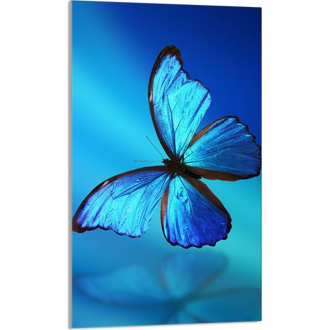 Glasschneidebrett 30x52 Schmetterling