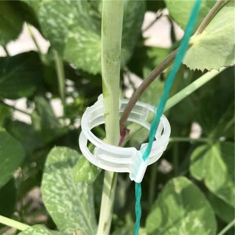 Clips de treillis en plastique - pour vignes, plants de tomates, légumes, support de jardin - 200 pièces, blanc