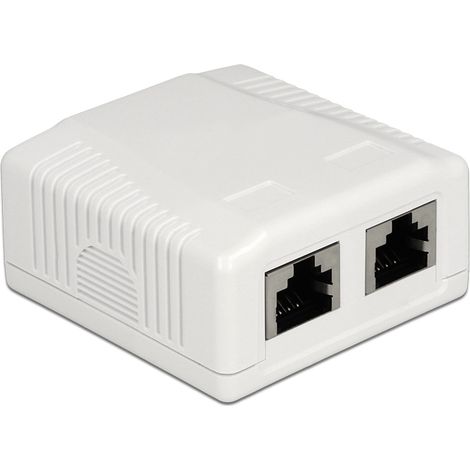 DeLOCK Delock 86197 - 2 x RJ-45 - Blanc - TIA-568A/B - 59 mm - 61 mm - 29,5 mm (1/4)