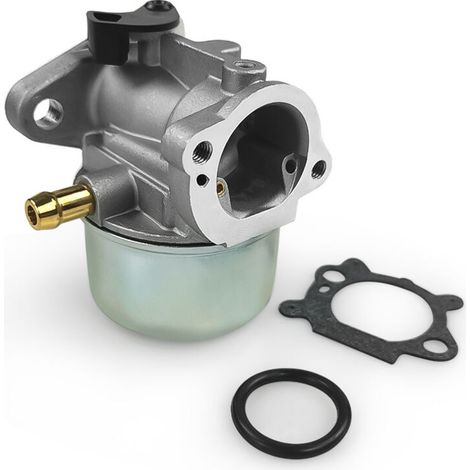 Vergaser 799868 mit Dichtung und O-Ring, kompatibel mit Briggs & Stratton Vergasern 498170, 498254, 497347 und 497314 (1/3)