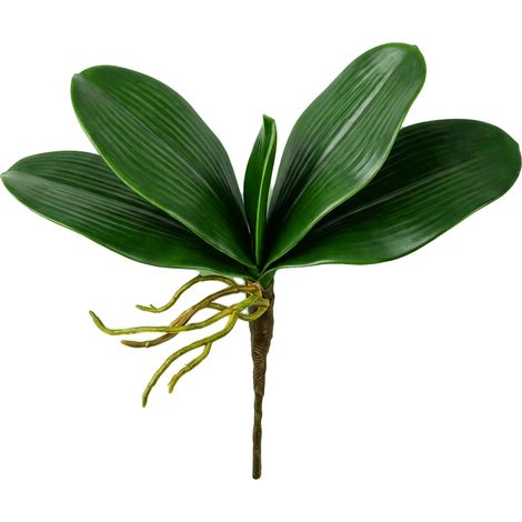 Foglie di orchidea artificiali, design realistico, ideali per la decorazione, 1 pezzo (1/2)