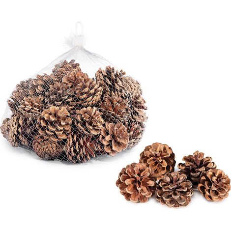 Pigne Decorative Naturali, Addobbi Natalizi, Confezioni Regalo, Lavori Fai da Te (1/2)