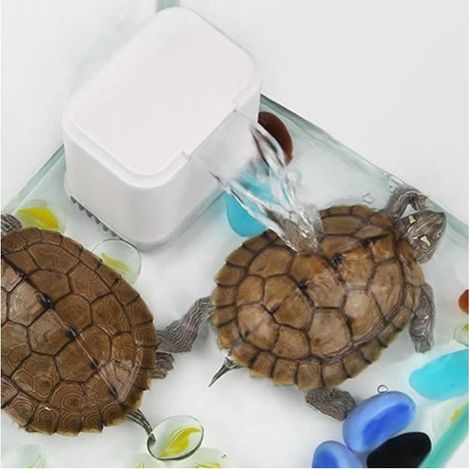 Pompe pour aquarium EN-02 3 en 1 Débit max 200L/H Puissance 2W Tension 220V Filtre pour réservoir de tortue d'eau peu profonde