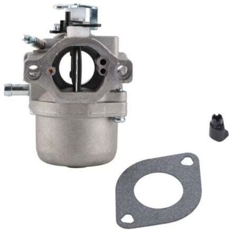 PA Aiperq Carburateur moteur pour Briggs & Stratton 285707,289707,28B705,28M707 (1/4)