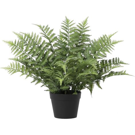 Fougère Artificielle Nephrolepis Exaltata - Plante Verte Décorative pour Intérieur - 59 cm - PANGIVO
