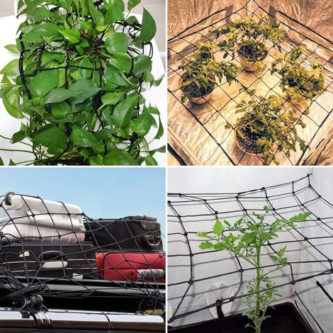 Scrog - Filet de croissance élastique - Pour plantes grimpantes - Avec 4 crochets anti-rouille - Pour légumes, fruits et fleurs - Plage d'étirement de 80 à 200 cm - 80 x 80 cm (1/5)