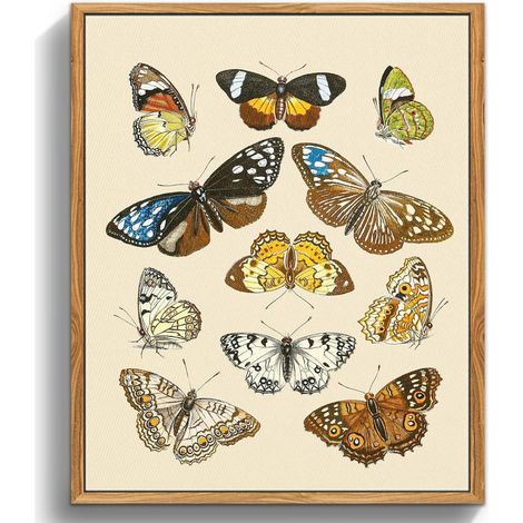 Vintage Insekten Leinwandbilder Holzrahmen 40x60cm Wohnzimmer Wanddeko (1/5)