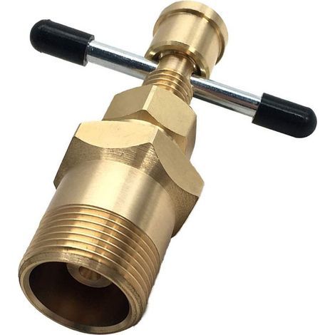 Outil D'extraction D'olive de 15 Mm et 22 Mm pour Divers Besoins D'élimination des Olives de Tuyaux (1/5)