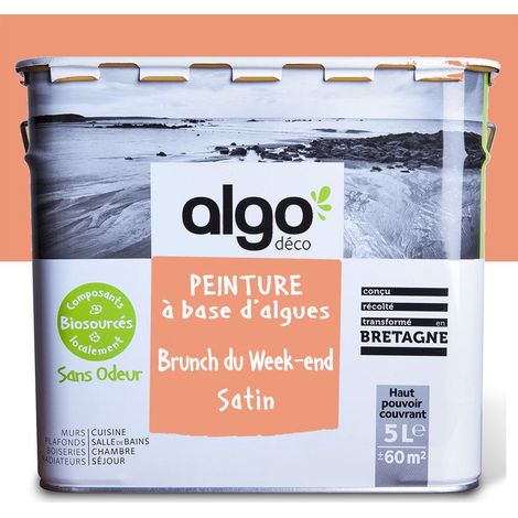 Peinture écologique Algo - Satin - Orange Brunch du week-end - 5L (1/5)