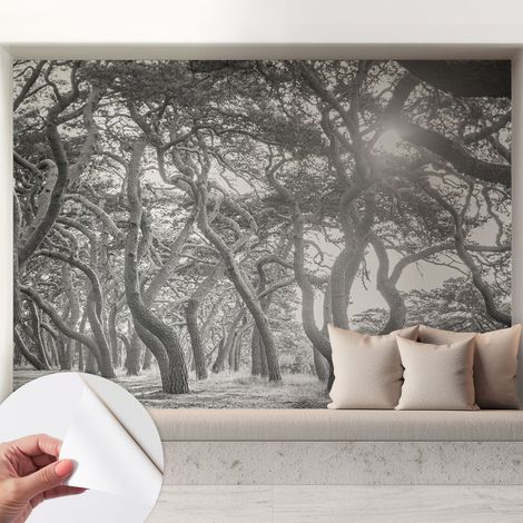 Fotomurale adesivo stickers - per camera da letto - per corridoio - decorazione casa moderna Foresta suggestiva 208x146 cm (1/5)