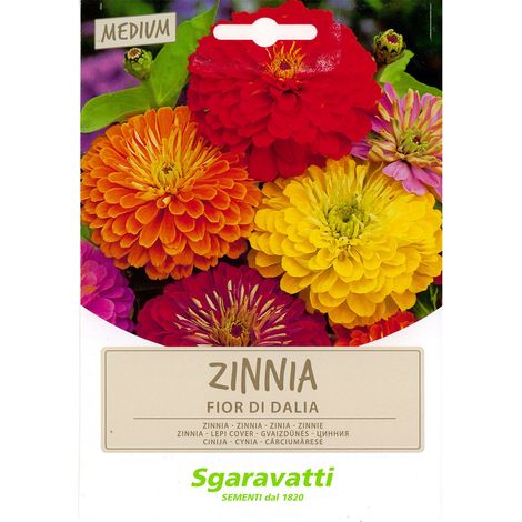 SEMI PER PRATO UNIVERSALE zinnia fior di dahlia Q.TA 20 zinnia fior di dahlia