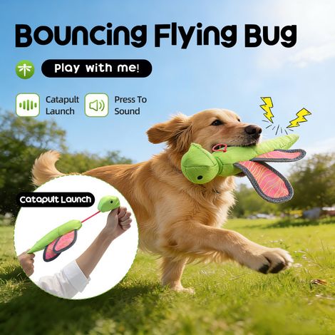 Jouet lanceur en tissu Oxford sonore pour chien, volant interactif idéal activité extérieure (1/4)