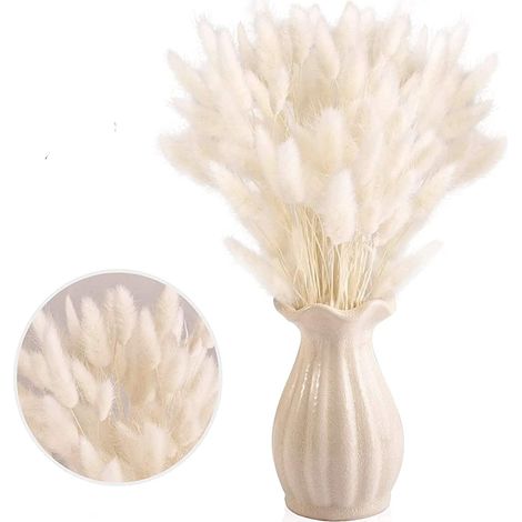 Queue de Lapin Fleur Sechee,Fleurs Séchées Naturelles Herbe de Pampa 30 Bouquet de Fleurs Séchées Roseau de Pampa Herbe pour Chambre à Coucher Intérieur la Décoration de la Maison de Mariage (1/5)