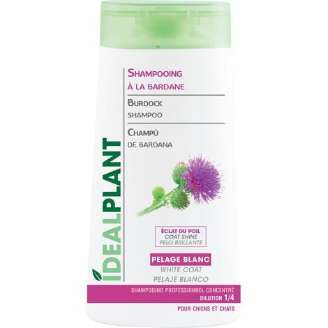 Shampoing blanc à la Bardane IdealPlant : 250ml