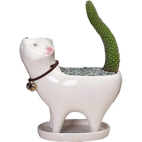 1 pot de fleurs en céramique en forme de queue de chat, succulente et cactus, décoration mignonne et originale. (1/5)