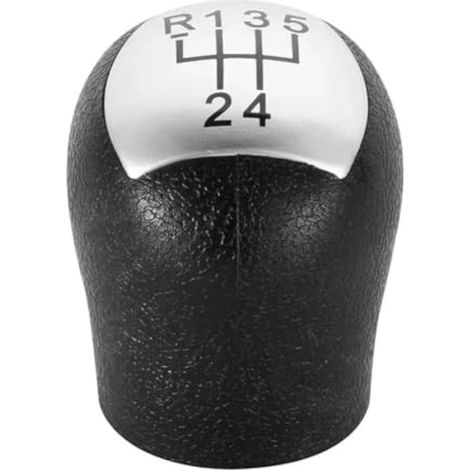 Pommeau de levier de vitesse pour Renault Clio II MK2, Twingo, Kangoo, ABS Levier de changement de vitesse pour un look amélioré (Argent) (1/5)