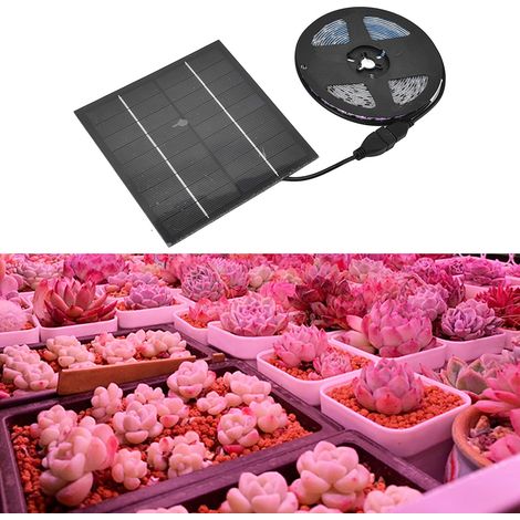 Ruban LED Solaire pour Plantes (Marque) • Type 2835 • Silicon et Plastique Éco-friendly • 0.5m / 19.7in • Lumière Haute Flux Lumineux 5W pour Favoriser la Croissance des Plantes (1/5)