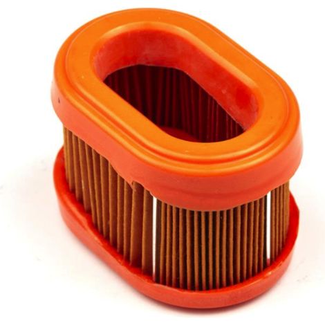 Filtro aria ORIGINALE TAGLIAERBA rasaerba BRIGGS STRATTON 790166 698867