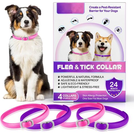 Collier Anti-puces pour Chiens (4 pièces), Collier Anti-puces réglable pour Chiens de 60 cm, Protection Efficace Pendant 24 Mois (1/5)