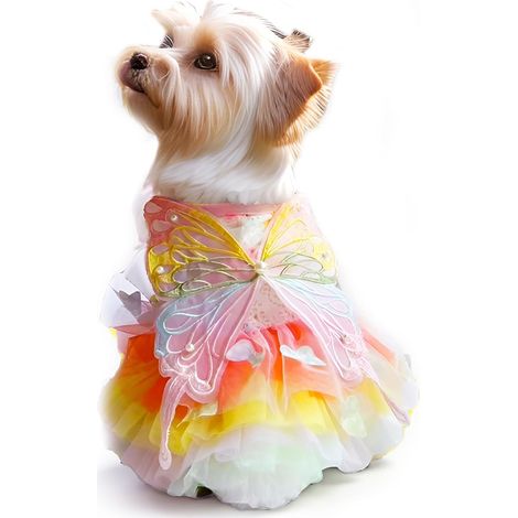 1 jupe princesse, en polyester, pour chienne ou chat, design papillon arc-en-ciel, dentelle décorative, taille unique (1/5)