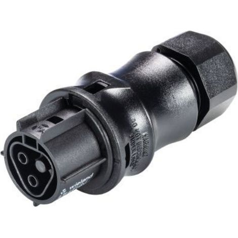 Wieland Electric 96.021.4053.1 Rundstecker Kupplung, gerade Gesamtpolzahl: 2 Serie (Rundsteckverbind
