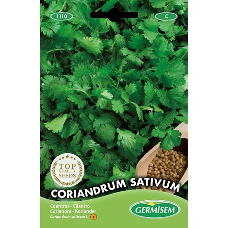 Graines Coriandre CORIANDRUM SATIVUM (1/2)