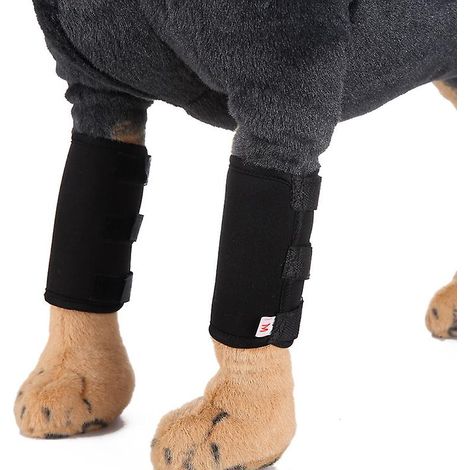 Genouillères pour animaux de compagnie, orthèses de soutien pour pattes avant et coudes de chien, aide à soulager les blessures et les entorses (1 paire) - Taille M, Noir (1/4)