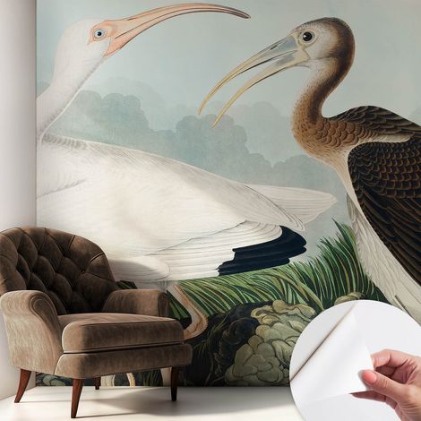 Tapete Selbstklebend - abwaschbar - Tapete mit Motiv - trendige Wanddeko - elegant Fototapete Vogelpaar 250x250 cm (1/5)
