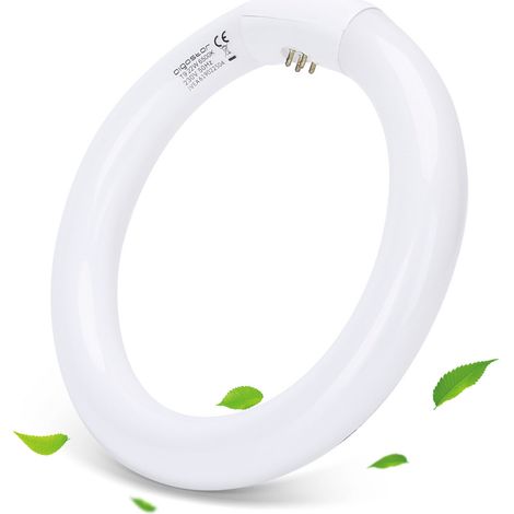 Circolina fluorescente G10Q T9 21cm da 22W in vetro Bianco freddo 6500K Aigostar (1/5)
