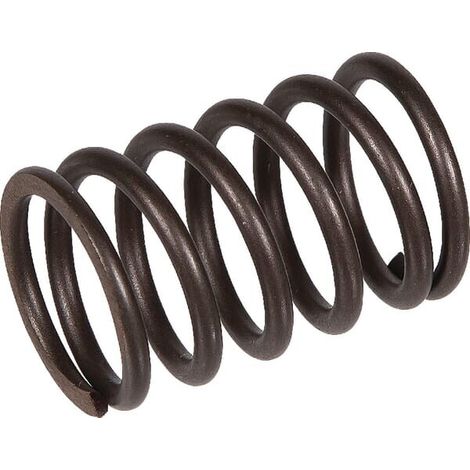 Molla per valvola BRIGGS ET STRATTON 691279