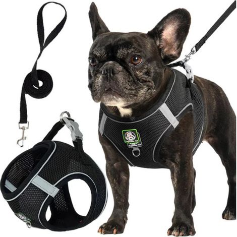 Ensemble harnais et laisse réfléchissants en maille respirante Irovami pour chien, noir, taille M