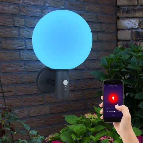 Lampada da esterno Applique da parete con rilevatore di movimento Lampada da giardino Lampada da facciata in acciaio inox, sfera di vetro, controllo tramite app, Smart RGB LED 10W 806Lm, PxH 25x37 cm