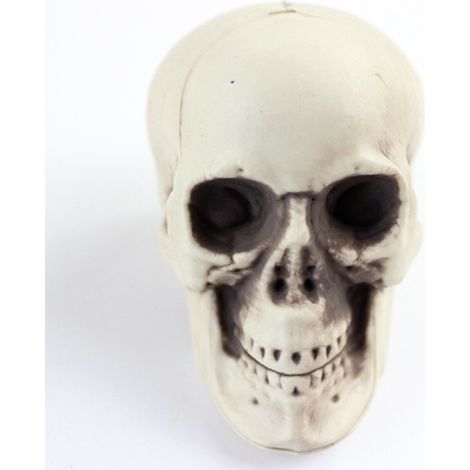 Crânes miniatures en plastique, squelette, crâne d'Halloween (1/5)