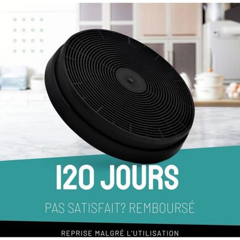 Lot de 2 Filtres à Charbon 175mm - Compatible Brandt Candy Valberg - Anti-Odeurs Graisses - Pour Hotte de Cuisine (1/5)