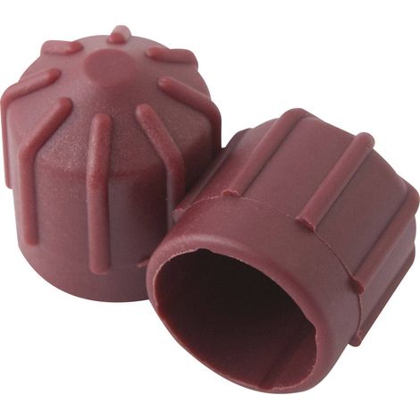 Sachet de 2 bouchons haute pression M10x1mm - CO 4040 - CLAS Equipements