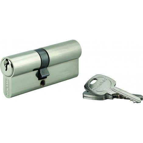 Cilindro europeo STD 35 x 45 mm, nichelato, 3 chiavi – THIRARD (1/5)