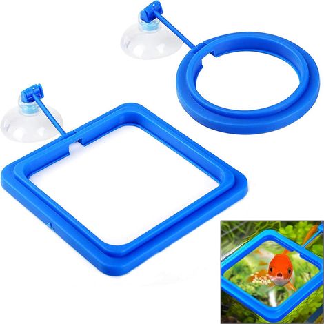 2 Anneaux de nourriture, ventouse réglable, PVC non toxique, pour aquarium poissons rouges tortues (1/5)