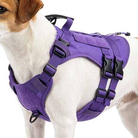 Harnais de dressage pour chien - Sans traction, antidérapant, réglable - Licol pour chien avec poignée - Taille moyenne - Pour , montagne, jungle, extérieur, service, randonnée, chasse (1/5)