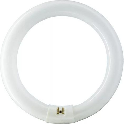 PHILIPS TL-E 32W/865 1CT/12 kühles Tageslicht, Ringlampe mit Ø 303,5 mm, dimmbar