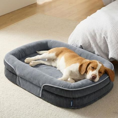 Lit Orthopedique Chien, Moyen, 89x64x18cm, Gris, 360°, Rond, Memoire, Mousse, Confort, Soulagement (1/5)